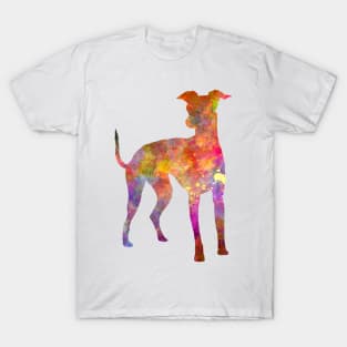 Italian Greyhound in watercolor T-Shirt